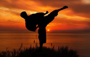 a martial artist kicking. What about martial arts of the mind?